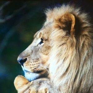 Meet your Posher, Peter